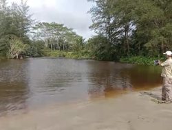 Limbah PKS PT MIR Diduga Mencemari Lingkungan