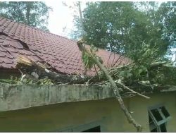 Pohon Tumbang Timpa Kantor PWI Aceh Besar