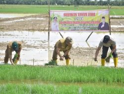 Pj Bupati Asra : Gertam Padi Merupakan Bagian Dari Intervensi Pemkab Dalam Pengendalian Inflasi Daerah