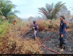 Pemkab Aceh Barat Tetapkan Status Siaga Darurat Karhutla