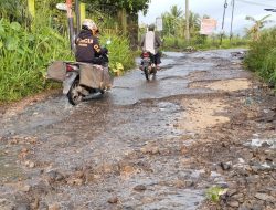 Ribuan Titik Ruas Jalan Angkola Julu Rimbasoping – Poken Jior Rusak Parah