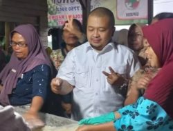 Koperasi Pemasaran Bona Ni Asar Sipirok Ekspor Perdana Kolang-Kaling