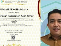 Pemkab Aceh Timur Raih Predikat “Baik” dari BPS Aceh