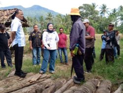 Bella Jayanti Wakil Ketua DPRD Lamsel Tinjau Akses Jembatan Darurat di Desa Tajimalela