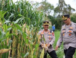Kapolres Aceh Tengah Tinjau Lahan Produktif dan P2B Dukung Ketahanan Pangan