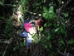 Dua Bocah Ditemukan Tewas Mengenaskan di Semak Belukar Pesisir Barat