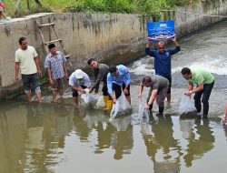 Tak Main-Main, Bupati Gus Irawan Seriusi Tapsel Swasembada Ikan