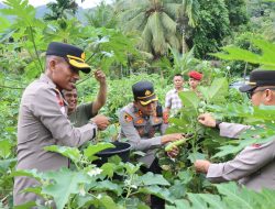 Kapolres Aceh Selatan Cek Langsung Lahan Ketahanan Pangan P2B di Ladang Teungoh