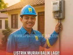 Diskon Tarif Listrik 50 Persen Kembali Diberlakukan Mulai 5 Juni 2025