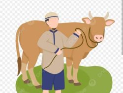 Pembagian Daging Korban Melalui Aspri Bupati Lamsel, “Menuai Kritik dari Masyarakat Merasa Tidak Transparan”