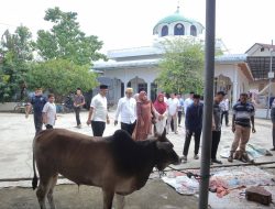 Tumbuhkan Rasa Keihklasan dan Kebersamaan, Polres Lhokseumawe Sembelih 7 Sapi Qurban