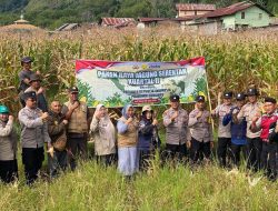 Polres Aceh Tengah Gelar Panen Raya Jagung Kuartal II di Kampung Gunung Suku dan Pedemun