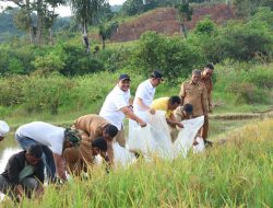 “Pemkab Tapsel Luncurkan Program Swasembada Ikan 1.000 Kolam untuk Perkuat Ketahuan Pangan”