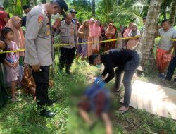Pria Lansia Ditemukan Tak Bernyawa di Kebun Kelapa, Sempat Pamit ke Keluarga