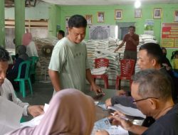 Sebanyak 1.136 KPM Warga Senang, Kelurahan Kalianda Bagikan Beras Bulog