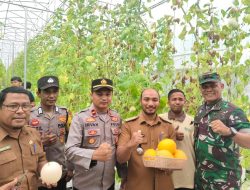 Muspika Paya Bakong Tinjau Melon Sistem Smart Farming Ala Jepang, Jadi Agroeduwisata di Aceh Utara