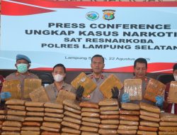 90 Ribu Jiwa Terselamatkan, Polisi Bongkar Penyelundupan Ganja di Bakauheni