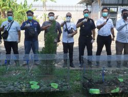 Bea Cukai Langsa Bersinergi Tim Satgas Karantina Hewan Aceh dan Sumut, Musnahkan Unggas Ilegal