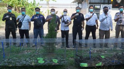 Bea Cukai Langsa Bersinergi Tim Satgas Karantina Hewan Aceh dan Sumut, Musnahkan Unggas Ilegal