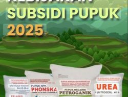 Harga Pupuk Urea di Agara Masih di Atas HET