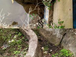 Ratusan Hektar Sawah di Kluet Utara Gagal Tanam, Akibat Irigasi Tak Berfungsi